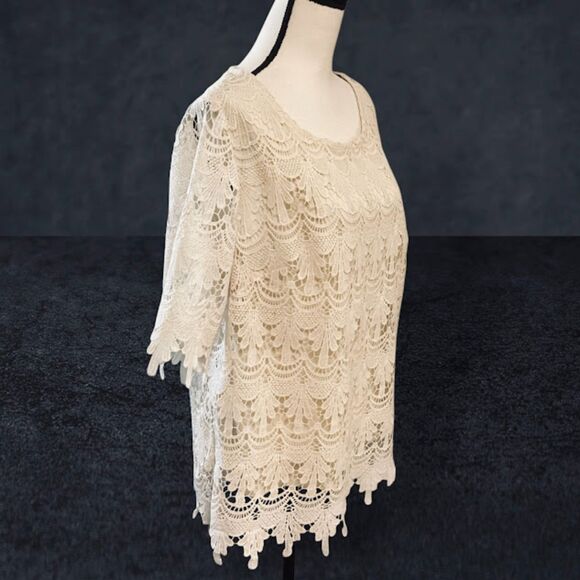 Adiva Scalloped Lace Top Short Sleeve in Ivory 1X - Picture 3 of 8